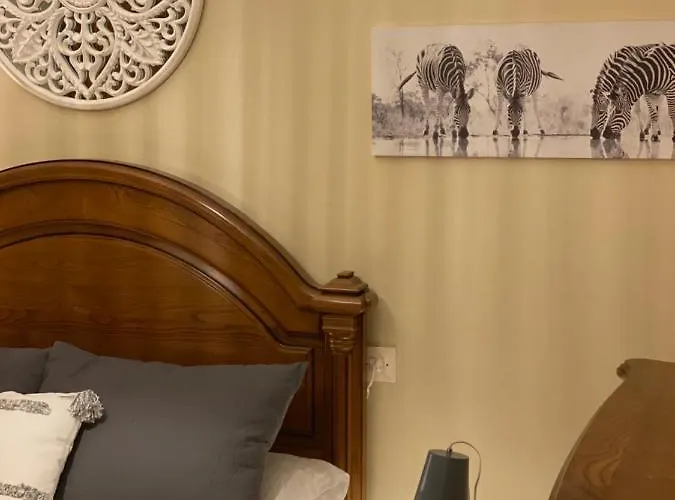 Acasadaconcha San Juan